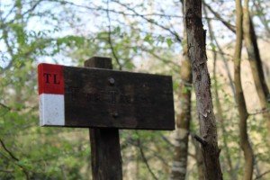 2 trekking lunigiana toscana via volto santo