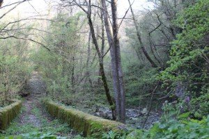 3 trekking lunigiana toscana via volto santo
