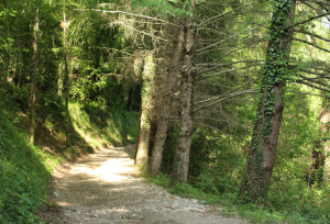 camminata lunigiana 2