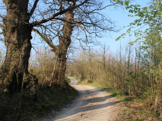 Via del Volto Santo - Trekking Lunigiana Lucca Via del Volto Santo - Trekking Lunigiana Lucca