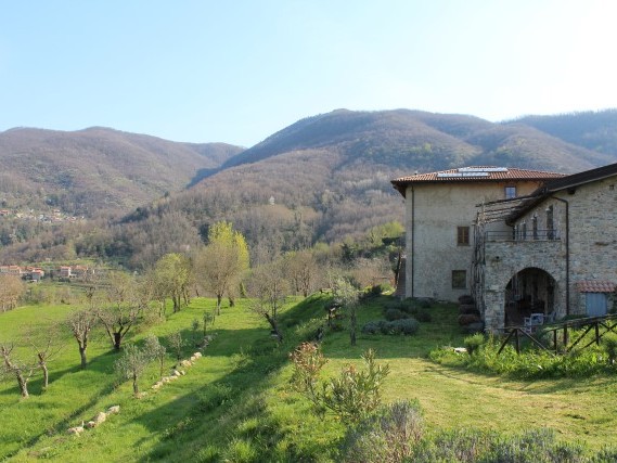 Viaggiare a piedi in Toscana Via del Volto Santo Viaggiare a piedi in Toscana Via del Volto Santo