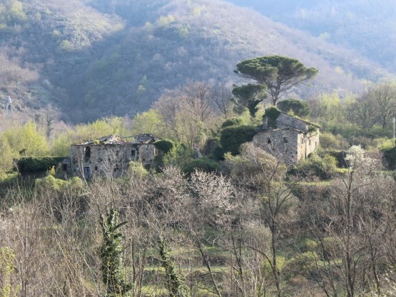 Viaggiare a piedi in Toscana Via del Volto Santo Viaggiare a piedi in Toscana Via del Volto Santo