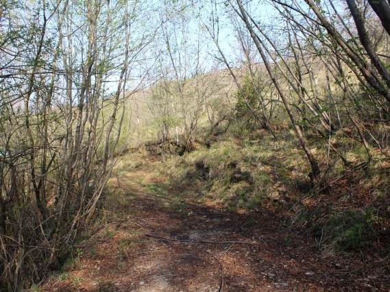 Viaggiare a piedi in Toscana Via del Volto Santo Viaggiare a piedi in Toscana Via del Volto Santo