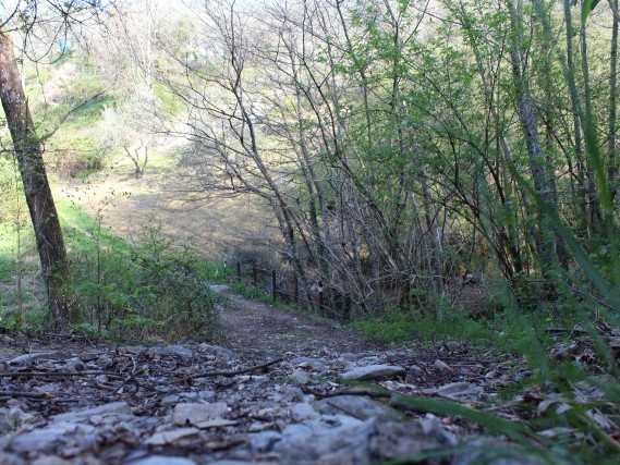Via del Volto Santo Viaggiare a piedi in Toscana Via del Volto Santo Viaggiare a piedi in Toscana