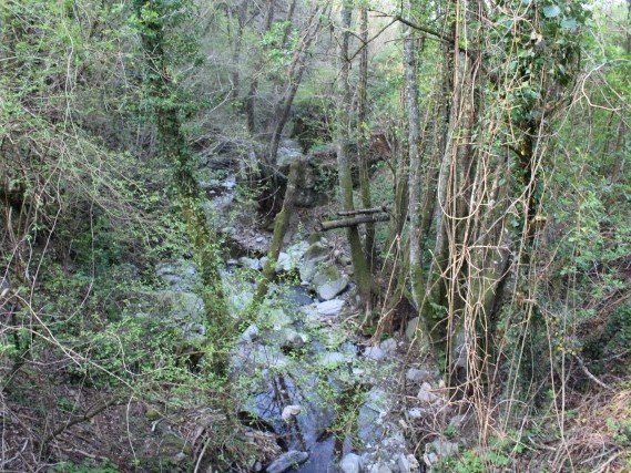 Via del Volto Santo Viaggiare a piedi in Toscana Via del Volto Santo Viaggiare a piedi in Toscana