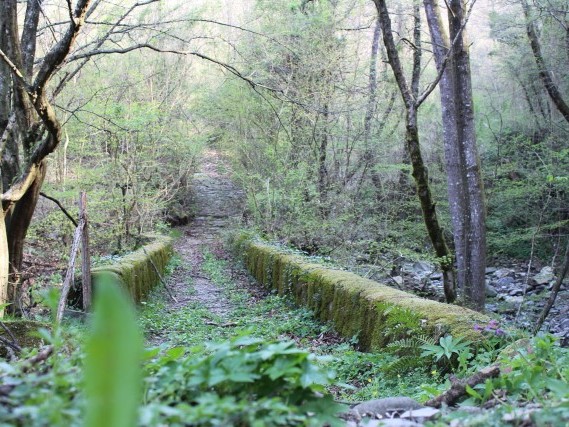 Via del Volto Santo percorsi a piedi in Toscana Via del Volto Santo percorsi a piedi in Toscana