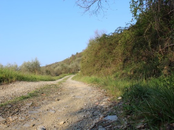 Via del Volto Santo - Trekking Toscana Via del Volto Santo - Trekking Toscana