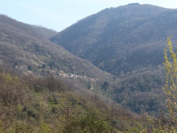 Via del Volto Santo percorsi a piedi lunigiana Via del Volto Santo percorsi a piedi lunigiana