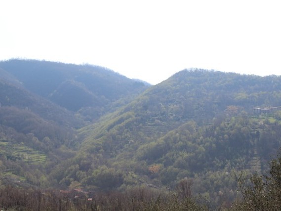 Via del Volto Santo percorsi a piedi lunigiana Via del Volto Santo percorsi a piedi lunigiana