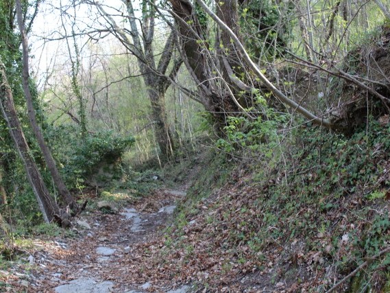 Via del Volto Santo percorsi a piedi lunigiana Lucca Via del Volto Santo percorsi a piedi lunigiana Lucca