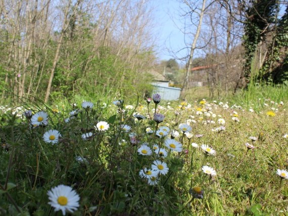 Via del Volto Santo percorsi a piedi lunigiana Lucca Via del Volto Santo percorsi a piedi lunigiana Lucca