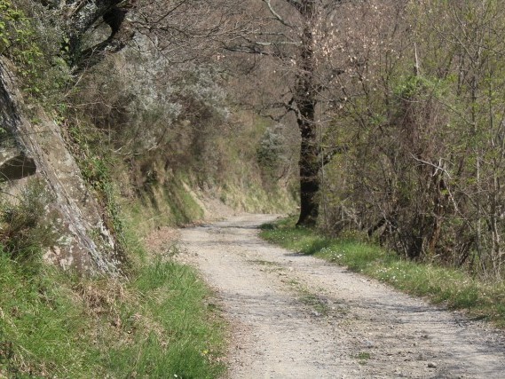 guide percorsi a piedi lunigiana Lucca Toscana guide percorsi a piedi lunigiana Lucca Toscana