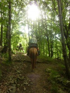 Vacanze Toscana trekking appennino