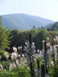 Vacanze Toscana trekking appennino 3