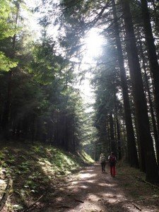 Vacanze Toscana trekking appennino 8