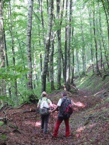 Vacanze Toscana trekking appennino 7