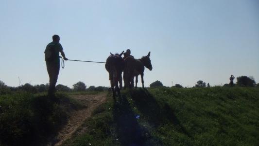 itinerario-escursione-trekking-piedi-pisa-bambin-asini (1)