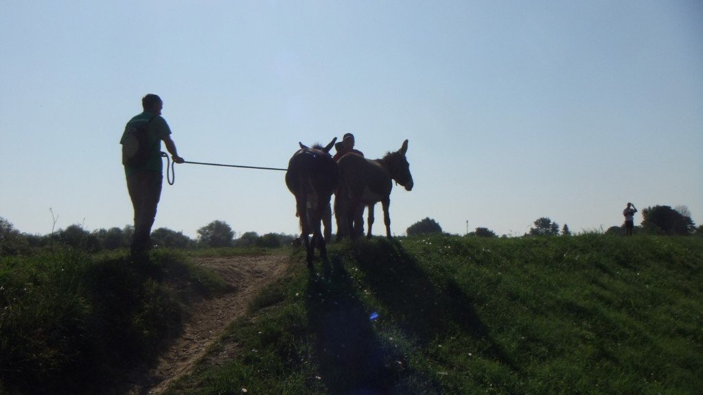 itinerario escursione trekking piedi pisa bambin asini