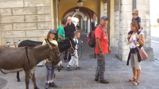 itinerario-escursione-trekking-piedi-pisa-bambin-asini (3)
