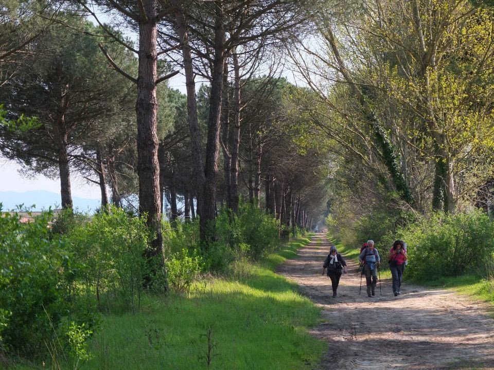 itinerario trekking toscana-pisa-livorno via navicelli 