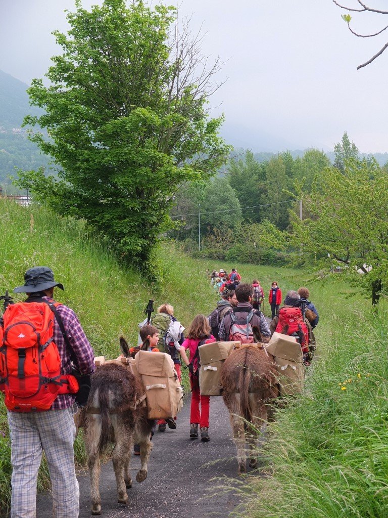 trekking pisa escursione a piedi famiglie bambini