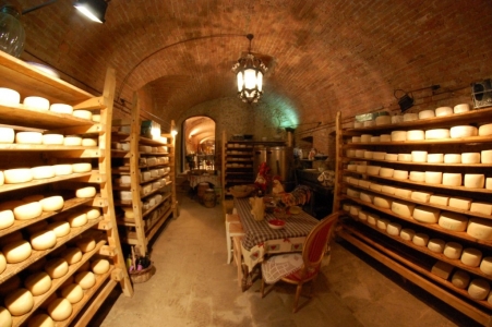 wine tour Tuscany cheese degustazioni Pisa wine tour Tuscany cheese degustazioni Pisa