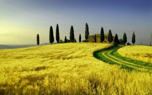 vacanze toscana