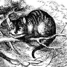 Un disegno in bianco e nero di un gatto di nome Alice seduto su un ramo.