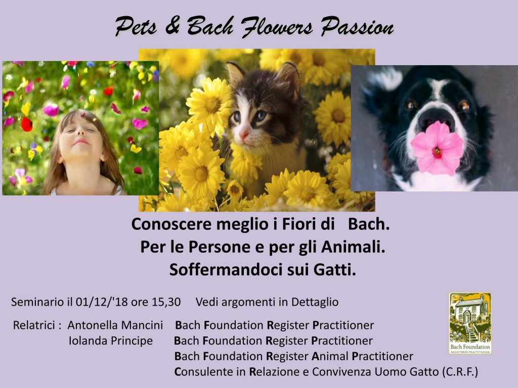 seminario fiori di bach sugli animali gatti