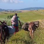Trekking pisa toscana1
