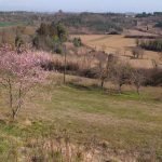trekking tosco emiliano pistoia toscana