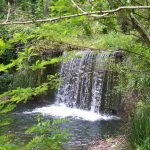 Itinerario francigena liguria giugno (10)
