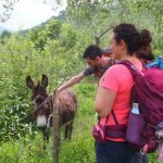 Itinerario francigena liguria giugno (12)