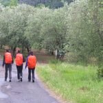 Itinerario francigena liguria giugno (18)