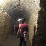 Via grancigena giugno (7)
