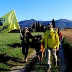 Anche-Agli-Asini-.Piace-Giallo-2 Anche Agli Asini .Piace Giallo 2